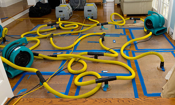 Professional Crawl Space Water Removal technician working in Harwich Port, MA